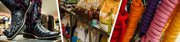 P&amp;B Feeds'n'Needs