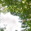 14653309990_0a95db3f77_o-683x1024.jpg
